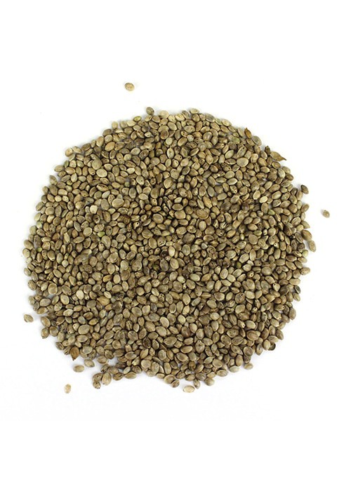 Graines de chanvre bio