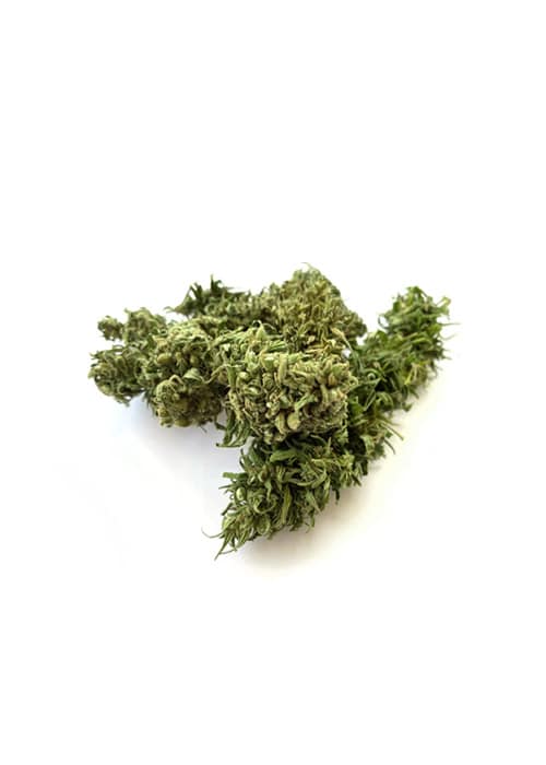 Fleur de chanvre - Earlina