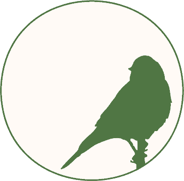 NOTRE OISEAU CHANVRELAIN