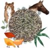 Graines pour animaux