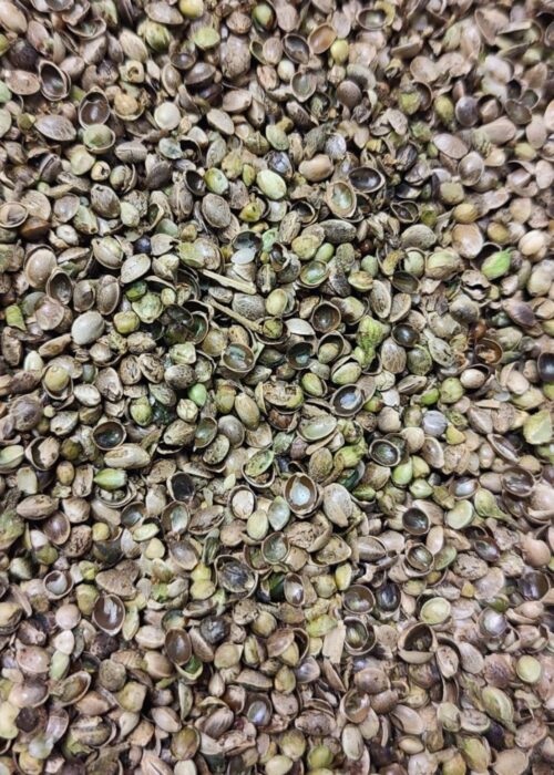 Graines pour animaux