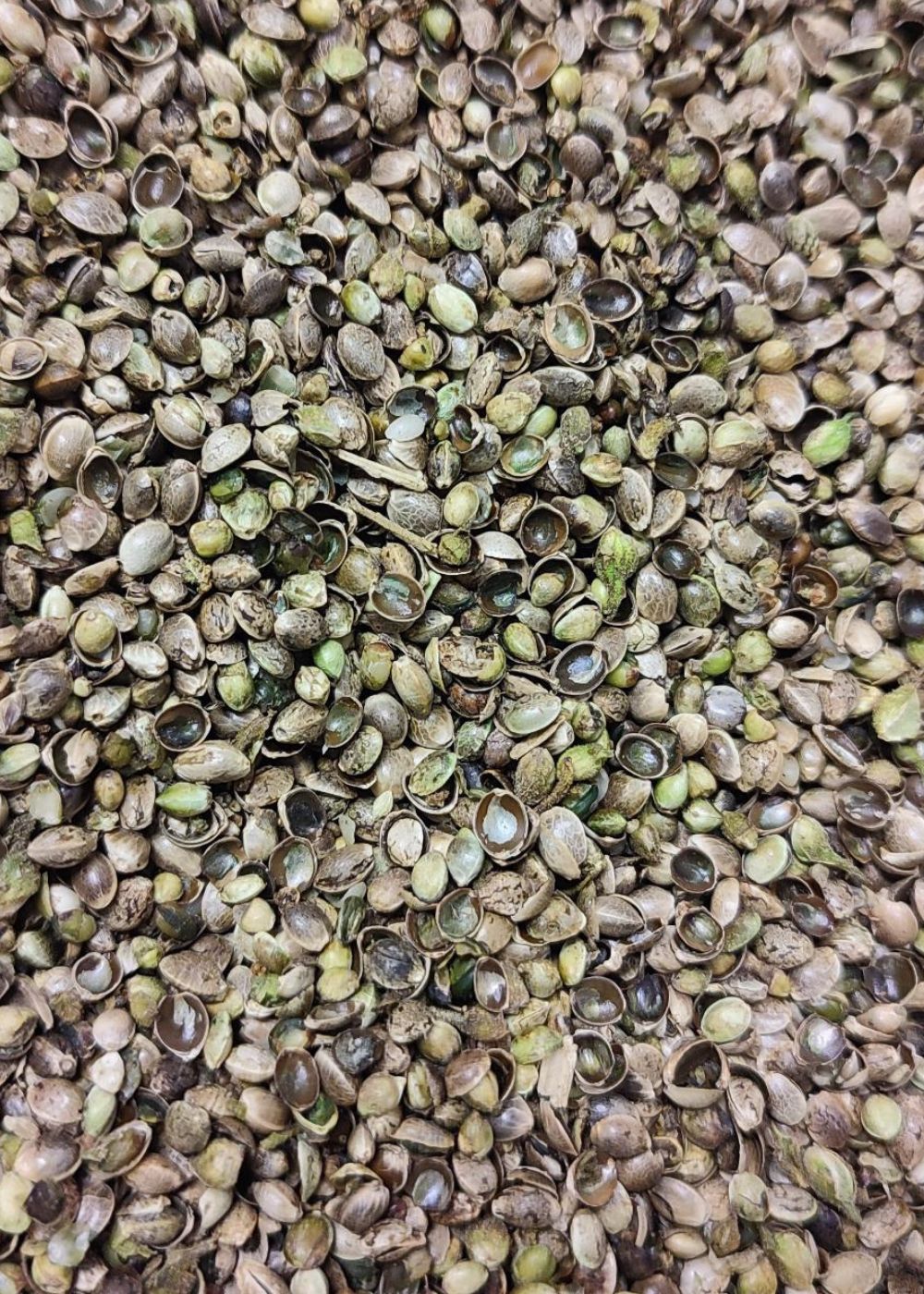 Graines pour animaux